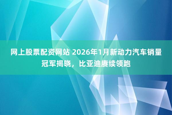 网上股票配资网站 2026年1月新动力汽车销量冠军揭晓，比亚迪赓续领跑