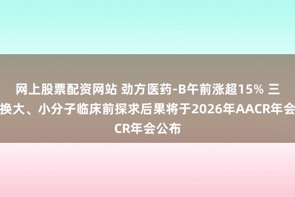 网上股票配资网站 劲方医药-B午前涨超15% 三款改换大、小分子临床前探求后果将于2026年AACR年会公布