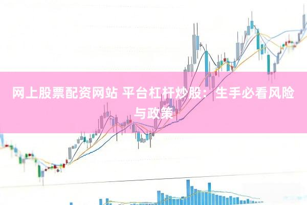 网上股票配资网站 平台杠杆炒股：生手必看风险与政策